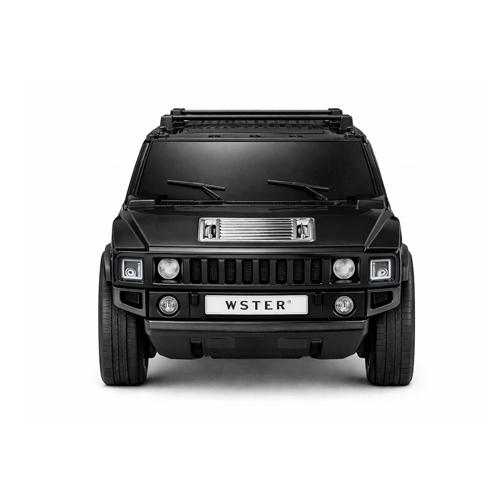 WSTER WS-590
